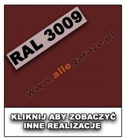 RAL 3009